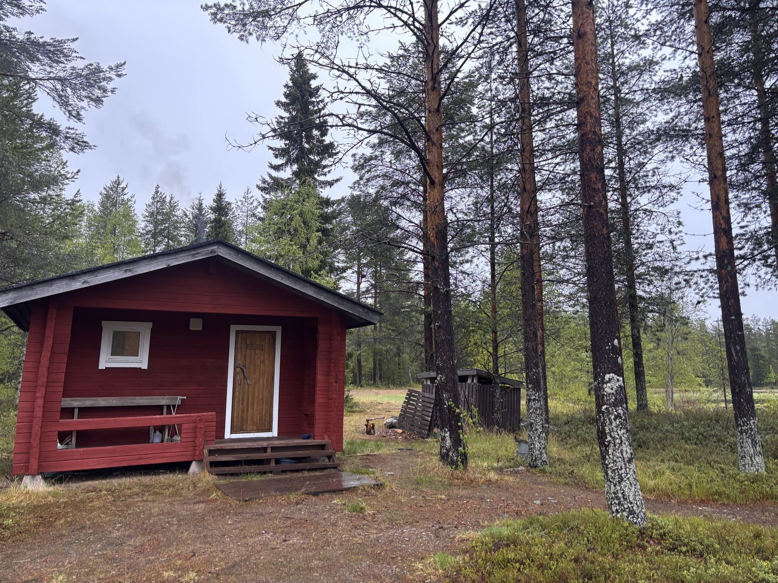 Traditional red sauna cabin in a pine forest