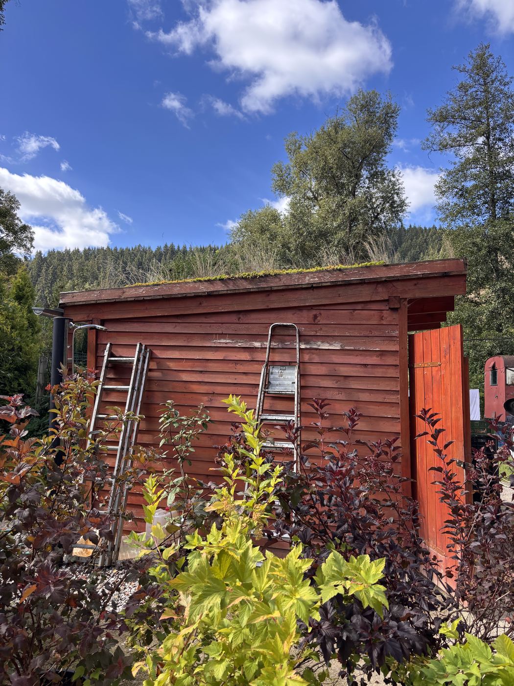 Sauna with a green roof, under construction