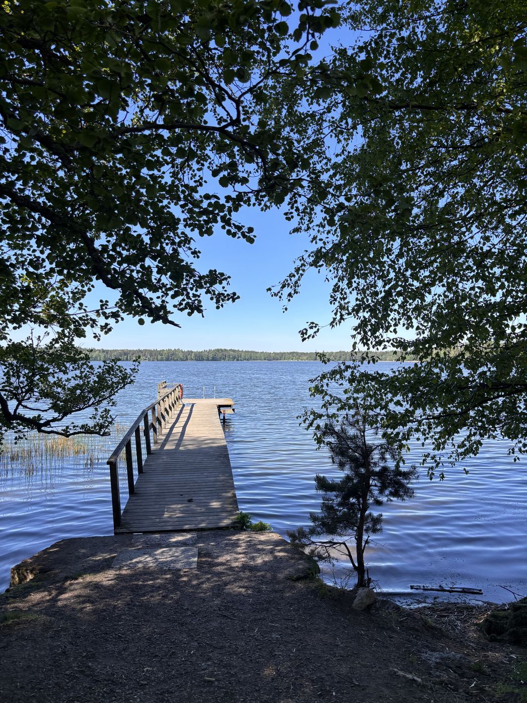 Wooden dock leading into a lake, framed by trees